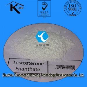Steroids Raw Powder Testosterone Enanthate for Muscle Building CAS:315-37-7