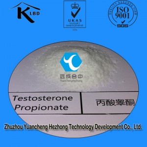 Injectable Steroids Raw Powder Testosterone Propionate for Bodybuilding CAS: 57-85-2