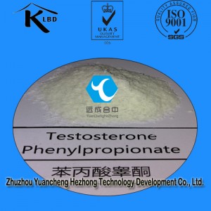 Steroid Raw Powder Testosterone Phenylpropionate CAS: 1255-49-8
