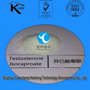 Hormone Steroid Powder Testosterone Isocaproate for bodybuilding CAS: 15262-86-9